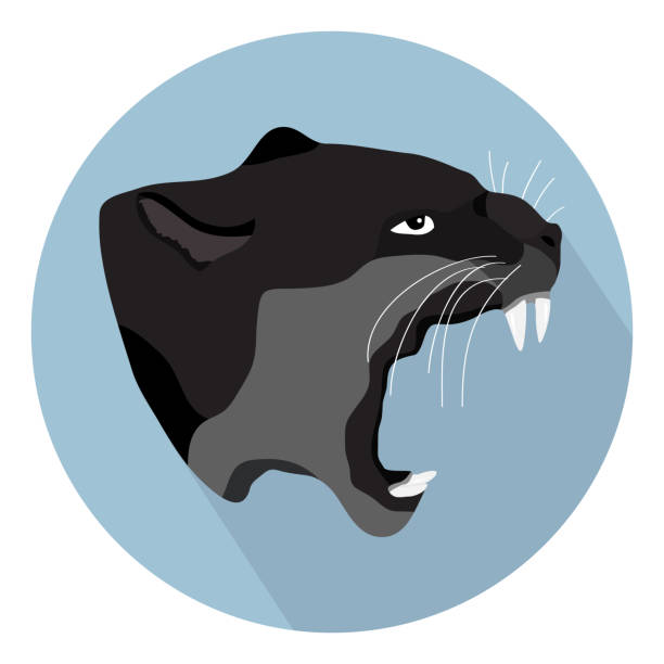 Ilustración de La Cabeza De Una Pantera Negra Con La Boca Abierta De Perfil  Diseño Plano Vector y más Vectores Libres de Derechos de Jaguar - Felino -  iStock