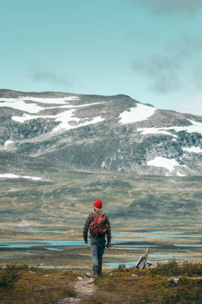 istock Man walking towards the mountains 1182461612