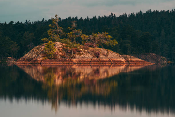 istock Island on the lake, forest in the background 1182462316