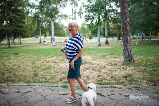 Active senior woman strolling through park with her pet dog on summer day
