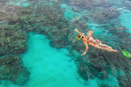 Happy family - mother, kid in snorkeling mask dive underwater, explore tropical fishes in coral reef sea pool. Travel active lifestyle, beach adventure, swimming activity on summer holiday with child.