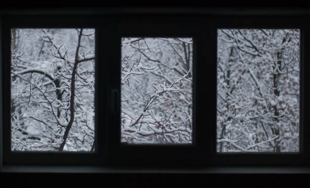 istock Snowy trees outside the window in winter 1182469109