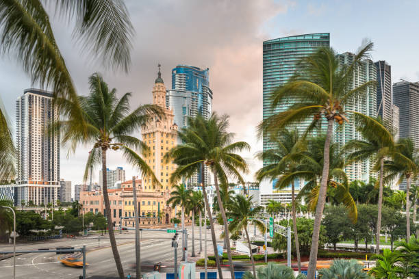 istock Miami, Florida, USA Cityscape 1182470633