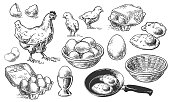 chicken set sketch