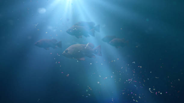 fish swarm swimming through plastic pollution, micro plastic particles in ocean water fish school between garbage, contamination problem, banner format microplastic photos stock pictures, royalty-free photos & images