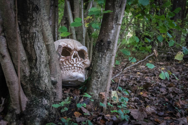 Halloween human skull decoration in Freeholder's Wood, Carperby-cum-Thoresby on the banks of Aysgarth Falls, Leyburn, North Yorkshire, UK