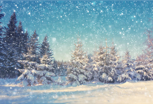 istock Snowfall in a german winter forest .Winter background. 1182474383