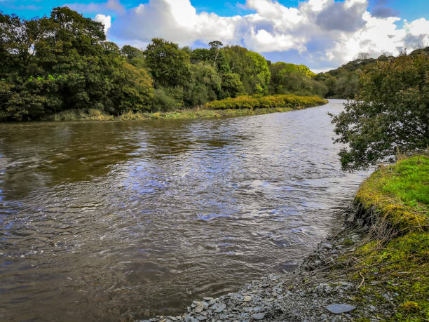 River Teifi in Wales River Teifi in Wales teifi river stock pictures, royalty-free photos & images