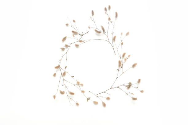 istock Isolated autumn frame of plants with place for your text on white background. fall flat lay, top view creative objects. Elements for Thanksgiving day design 1182476510