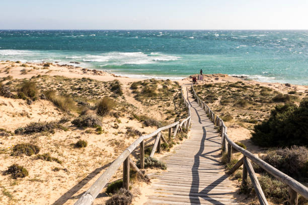 istock Cape Trafalgar, Spain 1182477786