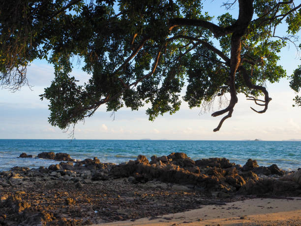 istock Koh Yao Yai island , Phang nga , Thailand 1182479821