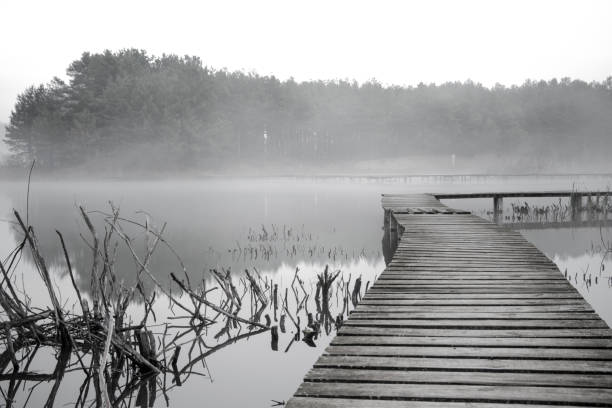 istock Bridge in fog 1182480917