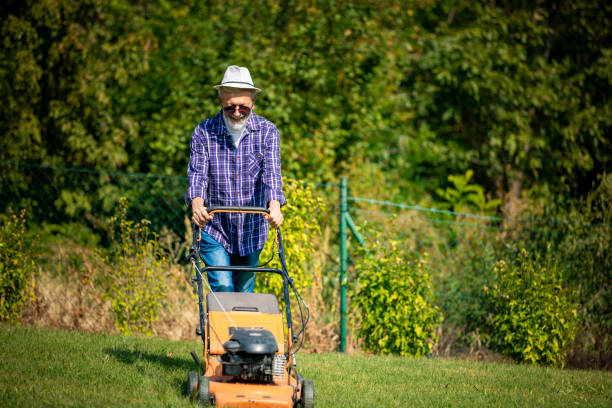 istock Senior man with lawn mowerk 1182481216