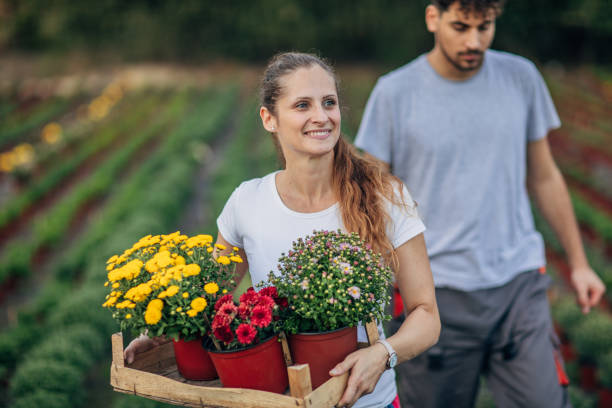 istock Garden center 1182481217