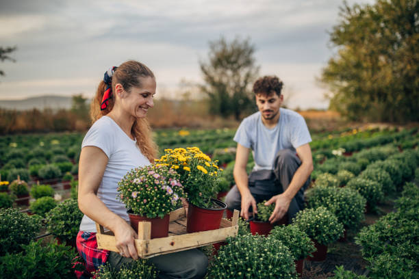 istock Garden center 1182481245