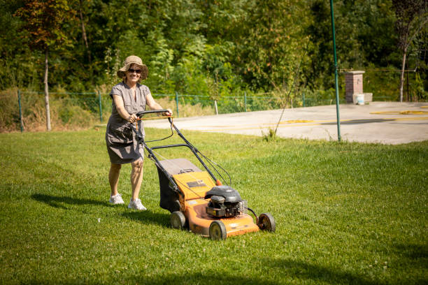 istock Senior woman mowing grass 1182481266