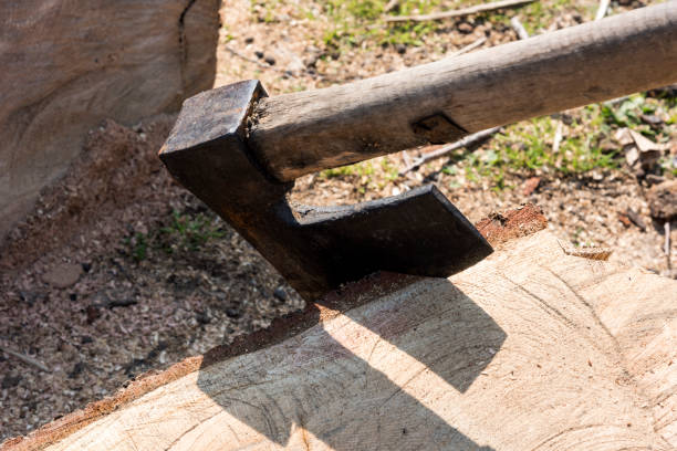 Mid adult man working as a lumberjack in a forest. About 35 years old, Caucasian male.