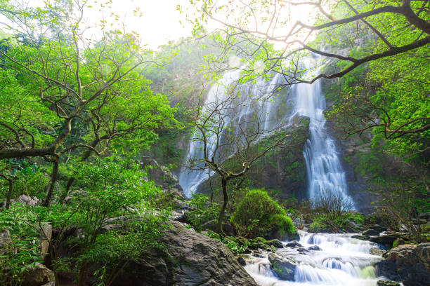 istock Beautiful waterfalls in asia, 1182485982
