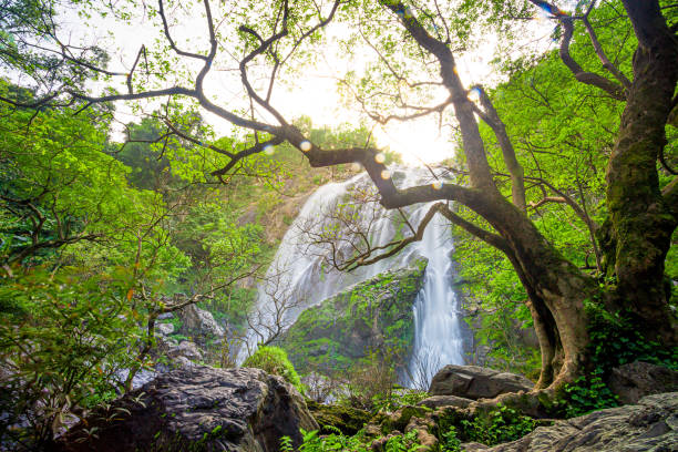 istock Beautiful waterfalls in asia, 1182486725