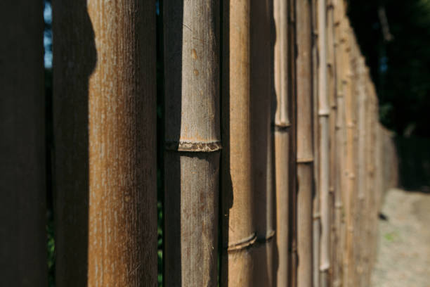 Old brown tone bamboo plank fence for background.