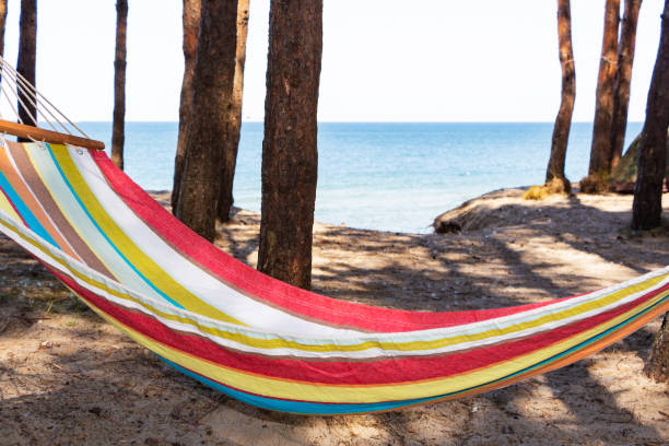 istock Hammock on the beach at sunset in the shade between the pines. 1182487261