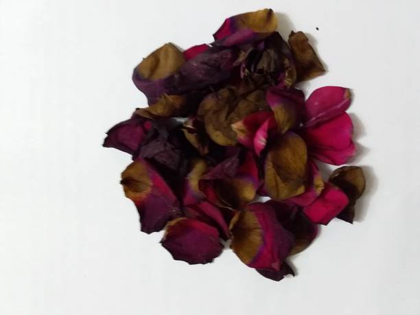 istock The petal of roses 1182489861