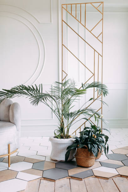 istock Interior decor in eco-style with greenery. Dried flowers and vegetation in a modern interior. 1182494061
