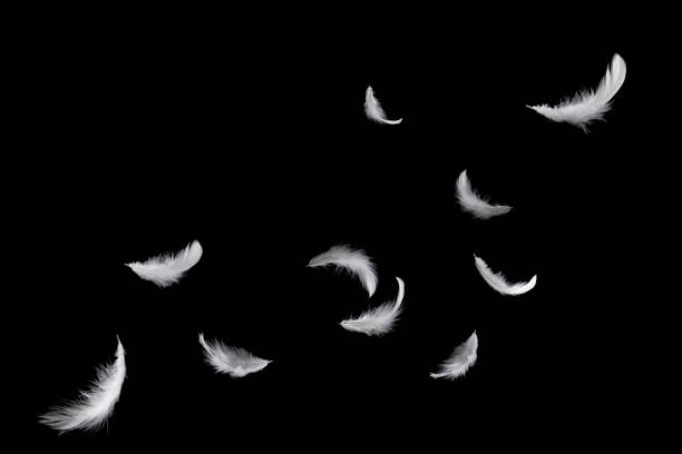 istock Soft white feathers floating in the air 1182495381