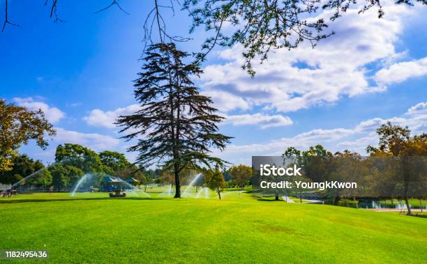 Arisen Tip Stock Photo - Download Image Now - Beauty In Nature, Cloud - Sky, Environment