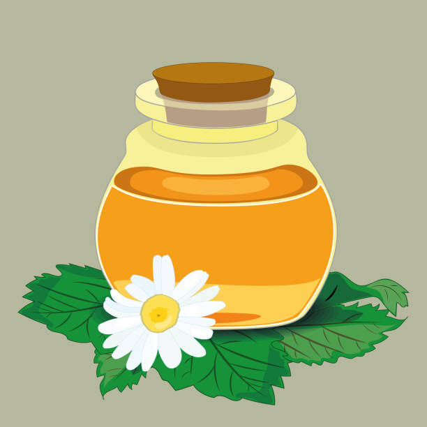 ilustraciones, imágenes clip art, dibujos animados e iconos de stock de botella con aceite fragante y flores de manzanilla. vector - chamomile plant glass nature flower