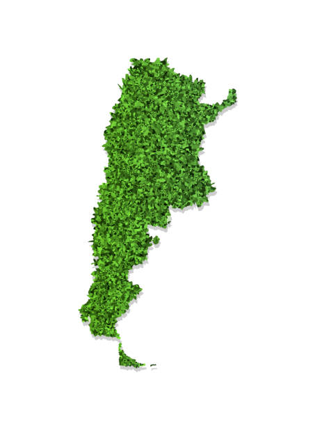 istock Vector isolated simplified illustration icon with green grassy silhouette of Argentina map. White background 1182497076