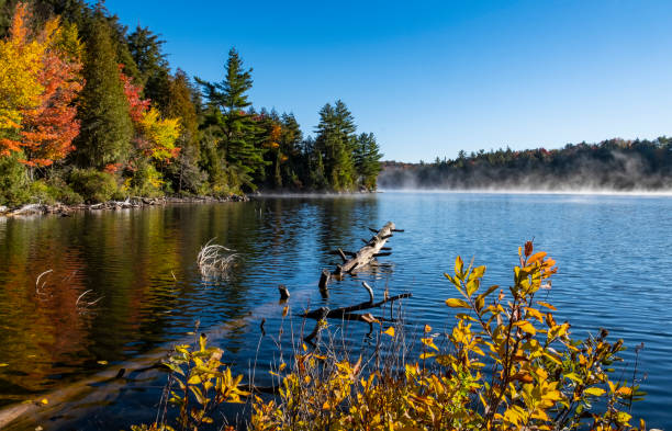 istock Autumn Morning Mist Over Canoe Lake 1182497601
