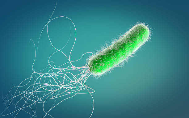 istock Single orange colored multiple antibiotic resistant Pseudomonas aeruginosa bacterium - 3d illustrationSingle green colored multiple antibiotic resistant Pseudomonas aeruginosa bacterium - 3d illustration 1182499121
