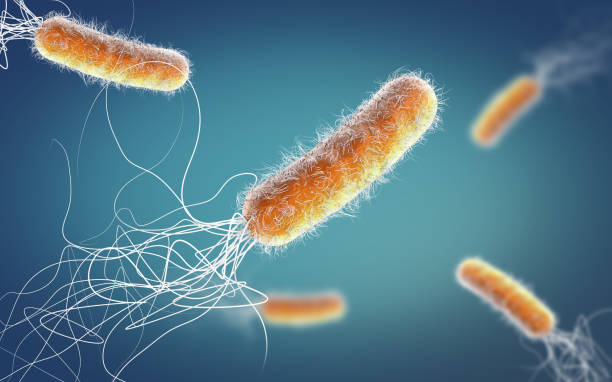istock Orange colored multiple antibiotic resistant Pseudomonas aeruginosa bacterium - 3d illustration 1182499146