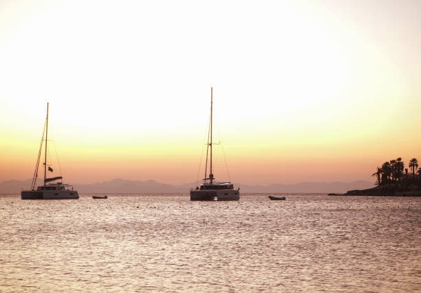 istock Sailing catamaran yachts moored in Datca bay at sunset 1182500466