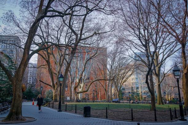 istock Washington Square Park, New York City 1182501738