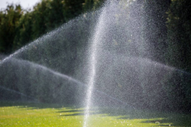 istock Watering green grass sprinkler.   Sprinkler with automatic system. Garden irrigation system watering lawn. 1182502325