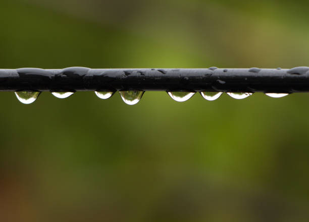 istock Drops of water on a cable close up 1182506446