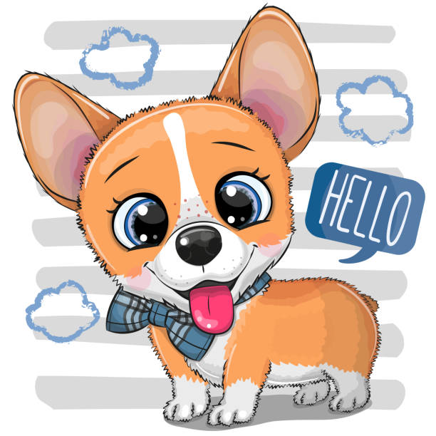 Cartoon Dog Corgi with a bowtie Cute cartoon Dog Corgi with a bowtie angry dog barking cartoon stock illustrations