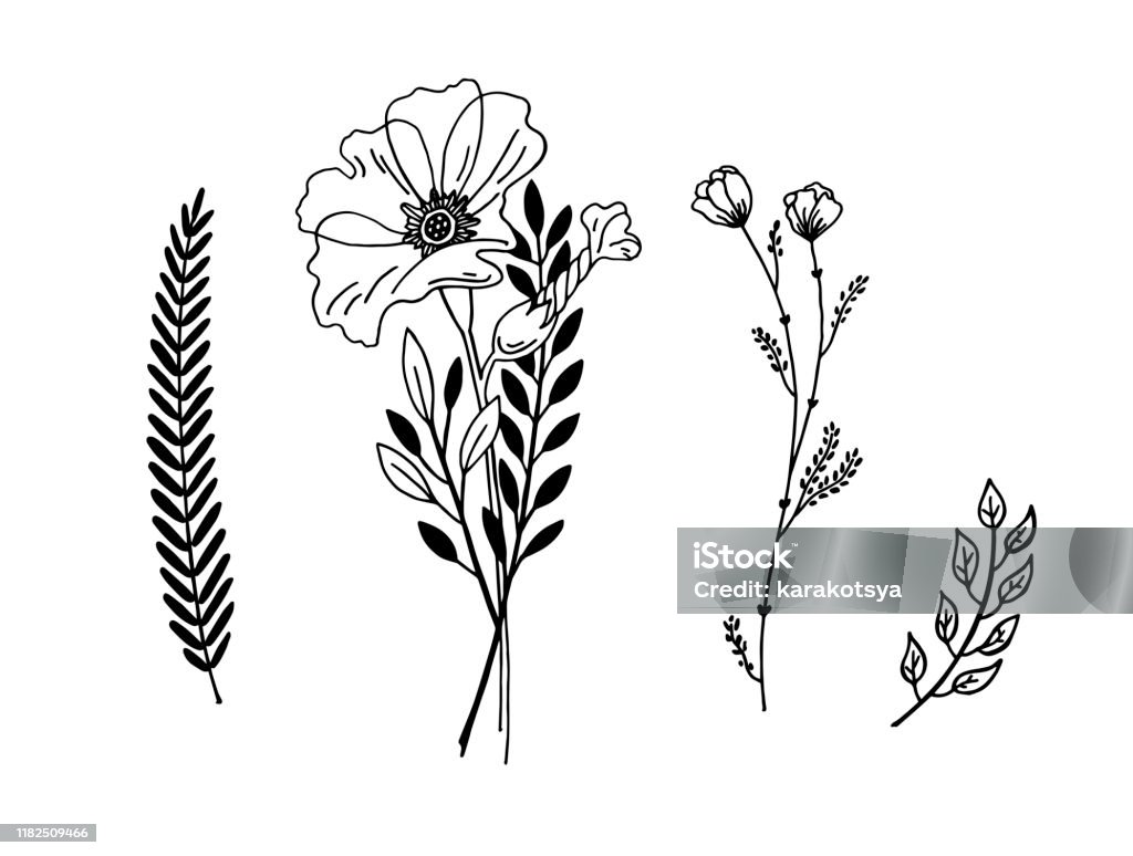 Ilustración de Dibujo Gráfico De Flores Minimalista Diseño De Tatuaje Diminuto De Moda Elemento Botánico Floral y más Vectores Libres de Derechos de Amapola - Planta - iStock Ilustración de Dibujo Gráfico De Flores Minimalista Diseño De Tatuaje Diminuto De Moda Elemento Botánico Floral y más Vectores Libres de Derechos de Amapola - Planta - iStock
