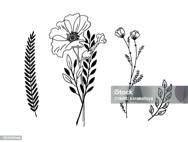Ilustración de Dibujo Gráfico De Flores Minimalista Diseño De Tatuaje  Diminuto De Moda Elemento Botánico Floral y más Vectores Libres de Derechos  de Amapola - Planta - iStock