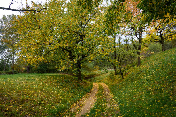 istock Hills in autumn 1182511180