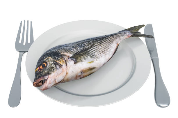 Fresh Gilt-head bream on plate with fork and knife, 3D rendering  isolated on white background