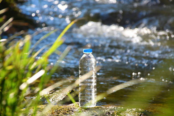 istock A plastic water bottle at the riverside with plants 1182513092