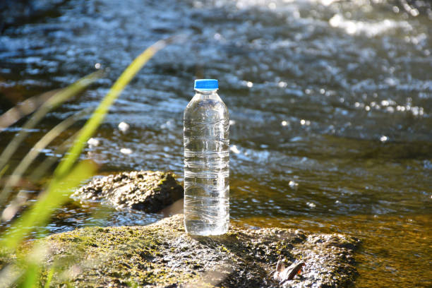 istock A plastic water bottle at the riverside with plants 1182514581