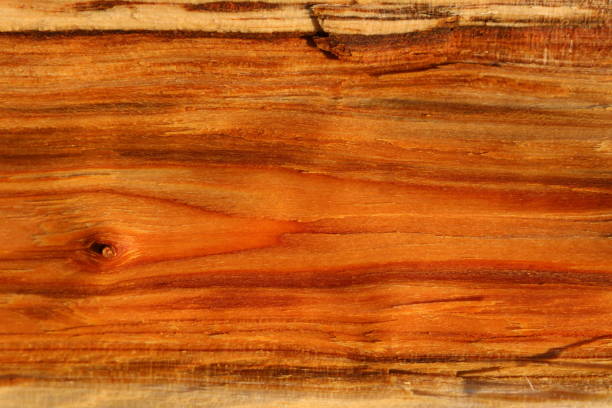 istock Wood texture of cut apricot tree trunk 1182517142
