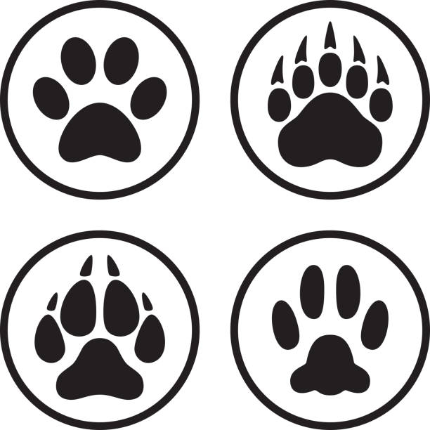 ilustrações, clipart, desenhos animados e ícones de paw print icon conjunto de arte de linha plana - animal track