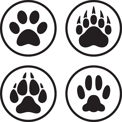Vector illustration of a set of animal paw print icons in flat, line art style.