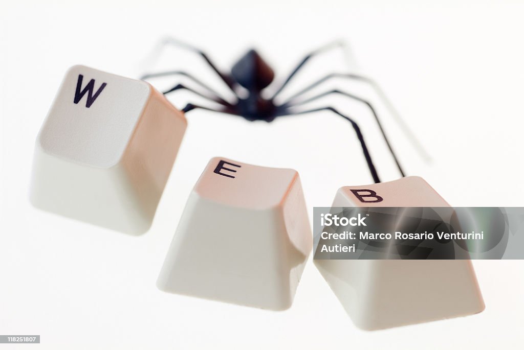 족두리 & 웹 컨셉입니다 인터넷 - 로열티 프리 거미 스톡 사진