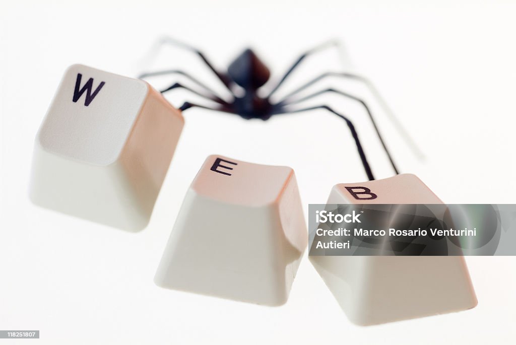 Aranha & web-conceito de Internet - Foto de stock de Aranha - Aracnídeo royalty-free